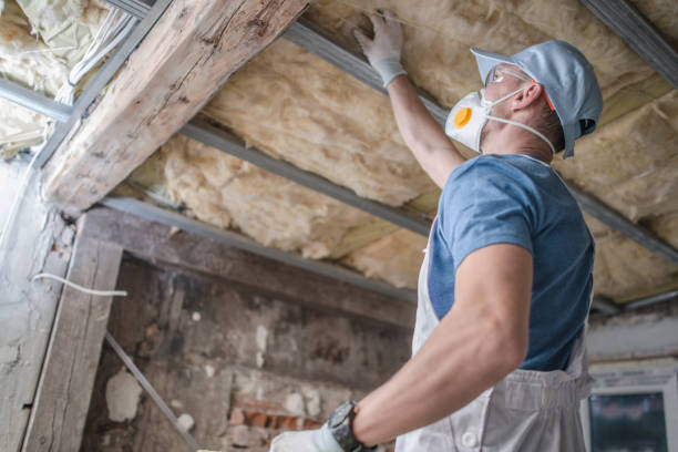 Best Commercial Insulation in Nicholson, MS