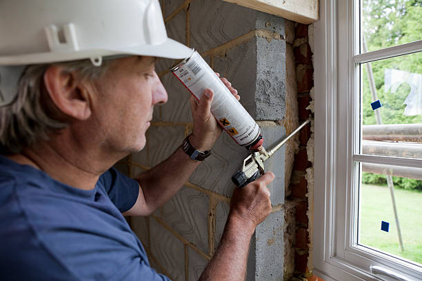 Best Cellulose Insulation in Nicholson, MS