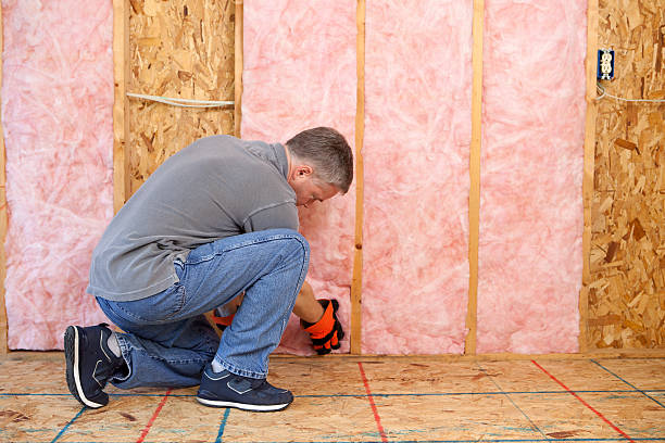 Best Blown-in Insulation in Nicholson, MS