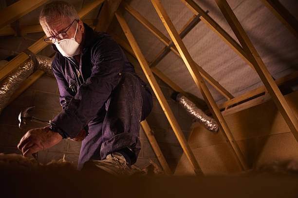 Types of Insulation We Offer in Nicholson, MS